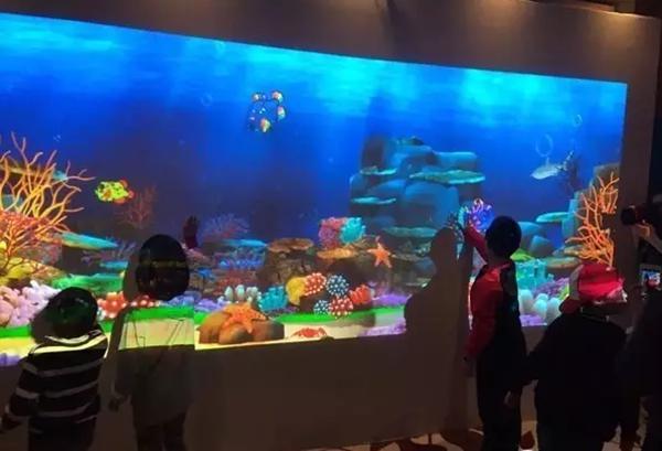 畫(huà)畫(huà)水族館